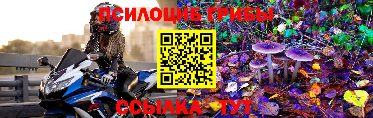 Междуреченск  дарнет шоп  Вход с VPN  Псилоцибиновые грибы Magic Shrooms 